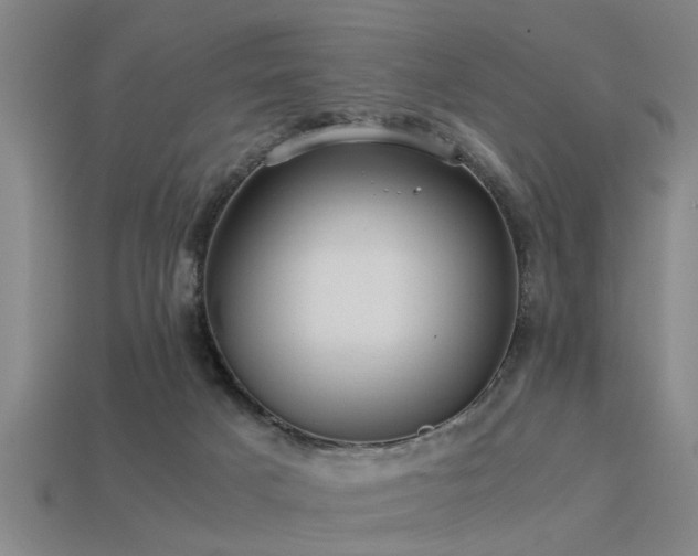 X0000113290025200909141214