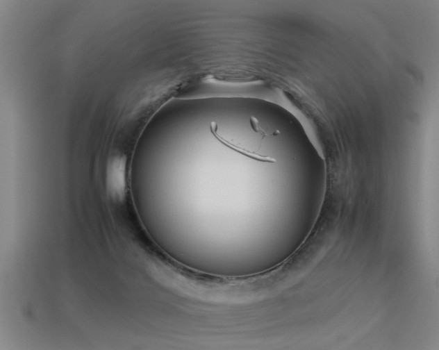 X0000113290028200909141214