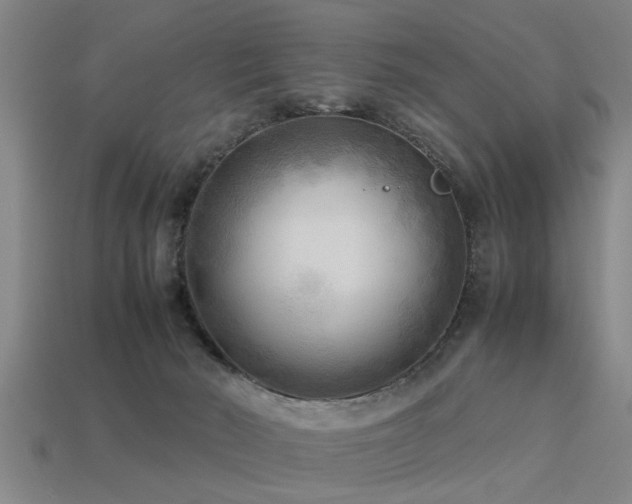 X0000113290030200909141214