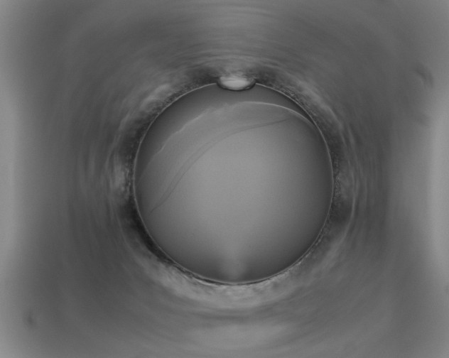 X0000113290031200909141214