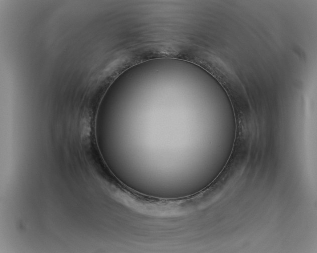 X0000113290032200909141214