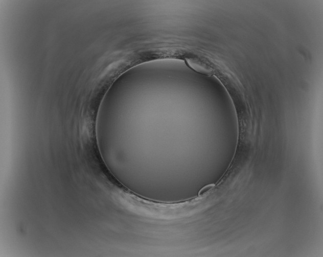 X0000113290035200909141213