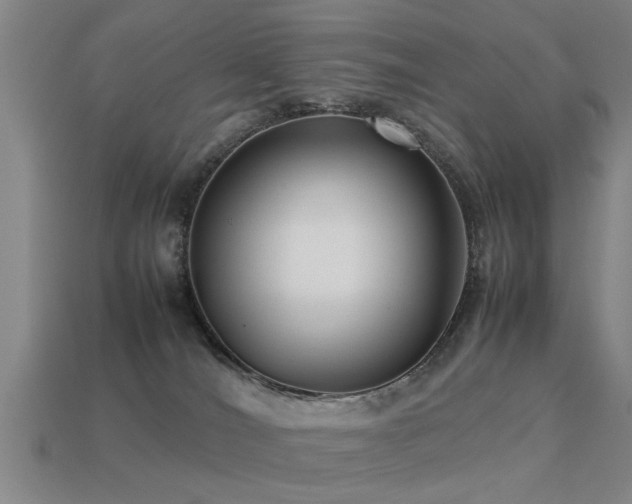 X0000113290036200909141213