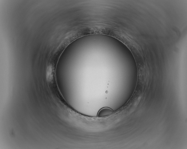 X0000113290038200909141213