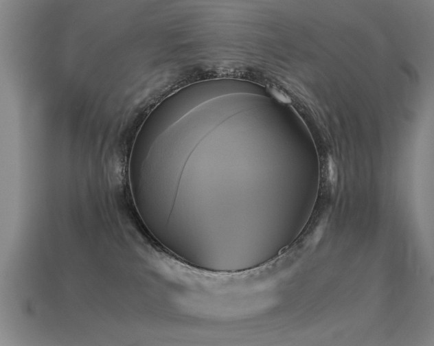 X0000113290039200909141213