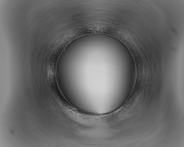 X0000113290040200909141213