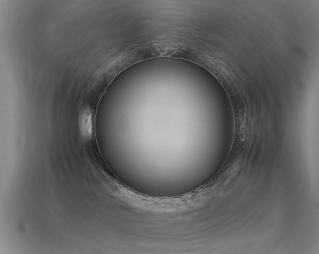 X0000113290042200909141213