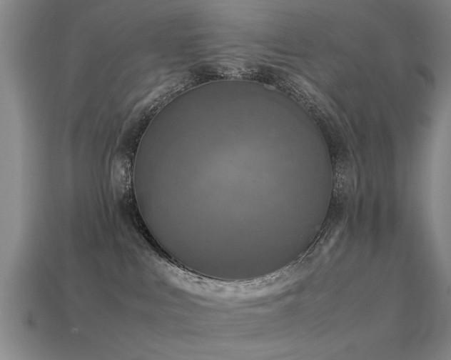 X0000113290043200909141213