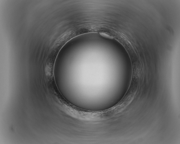 X0000113290044200909141213