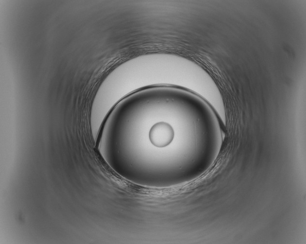 X0000113290045200909141213