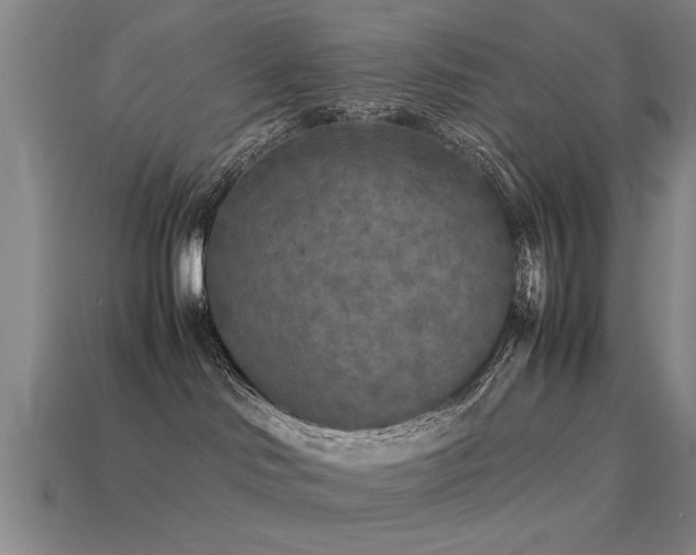 X0000113290046200909141213