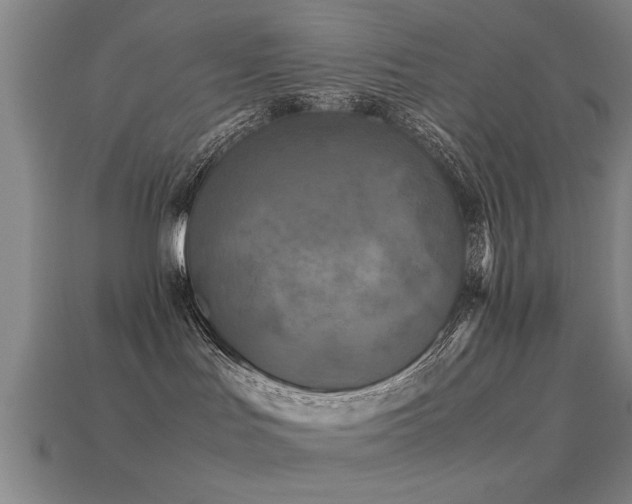 X0000113290047200909141213