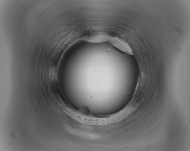 X0000113290048200909141213