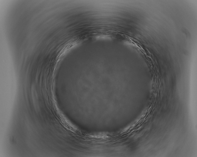 X0000113290049200909141213