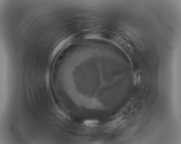 X0000113290051200909141213