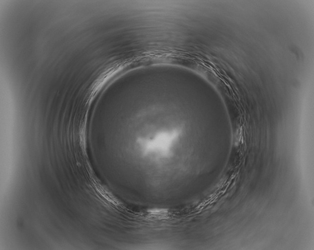 X0000113290052200909141213