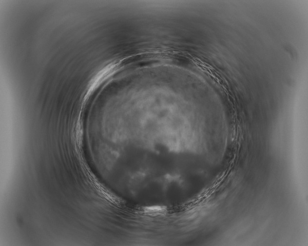 X0000113290053200909141213