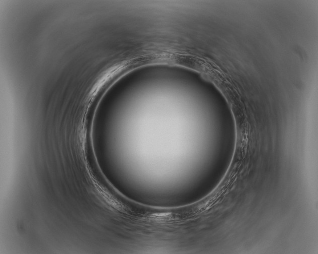 X0000113290054200909141213