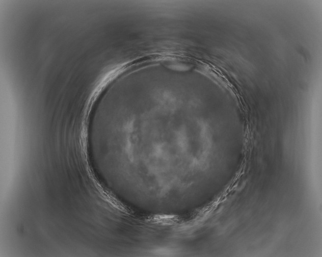 X0000113290055200909141213