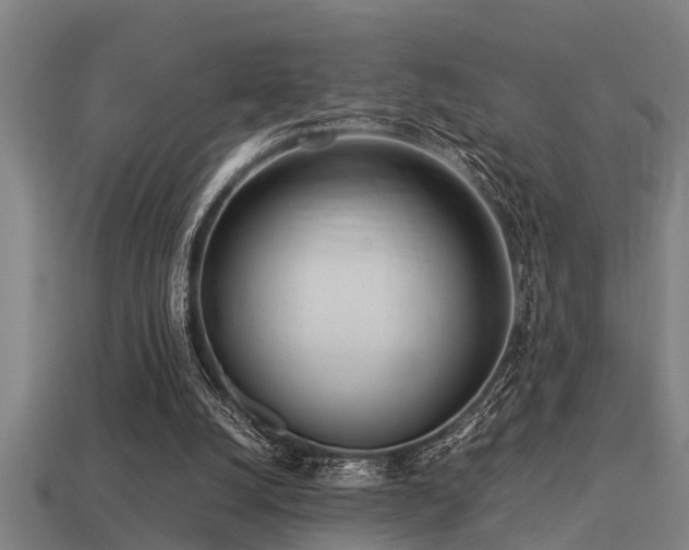 X0000113290056200909141213