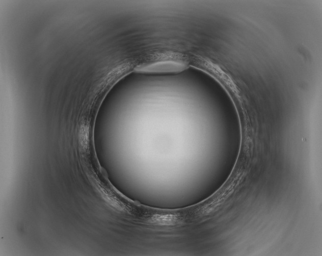 X0000113290057200909141213