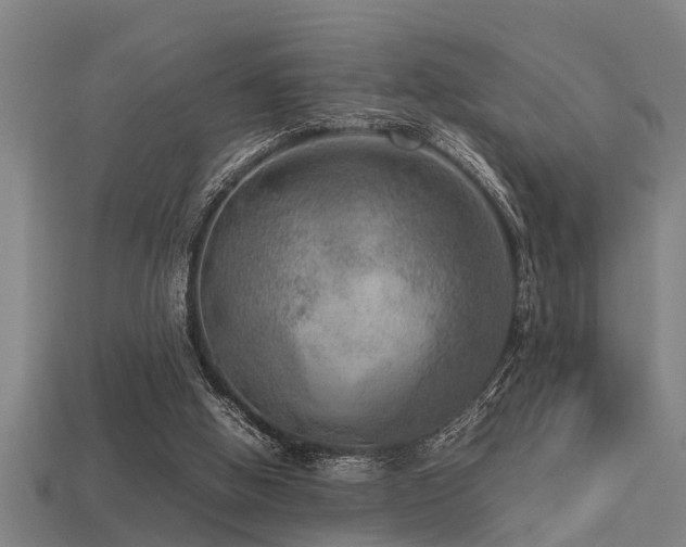 X0000113290058200909141213