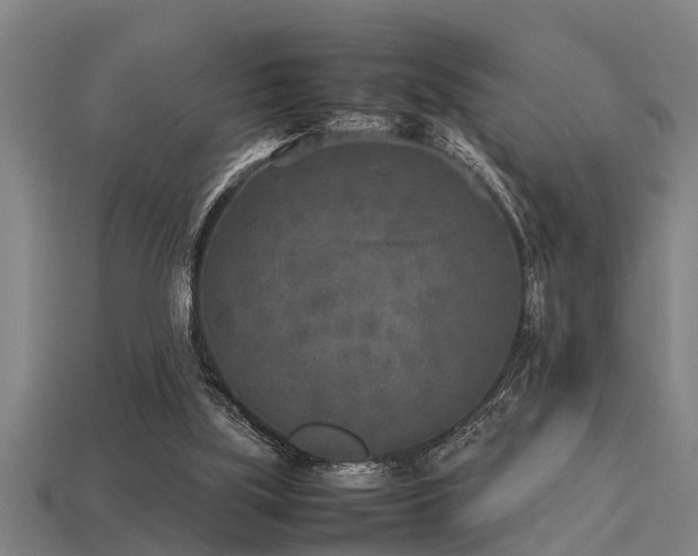 X0000113290059200909141213