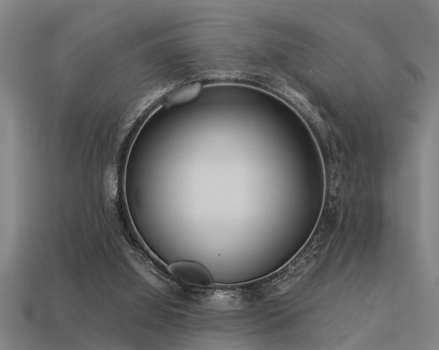 X0000113290060200909141213