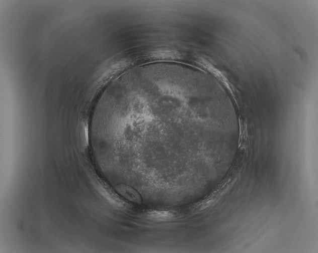 X0000113290061200909141213