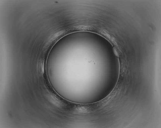 X0000113290062200909141213