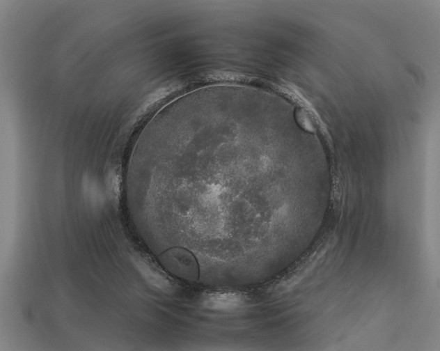 X0000113290063200909141213