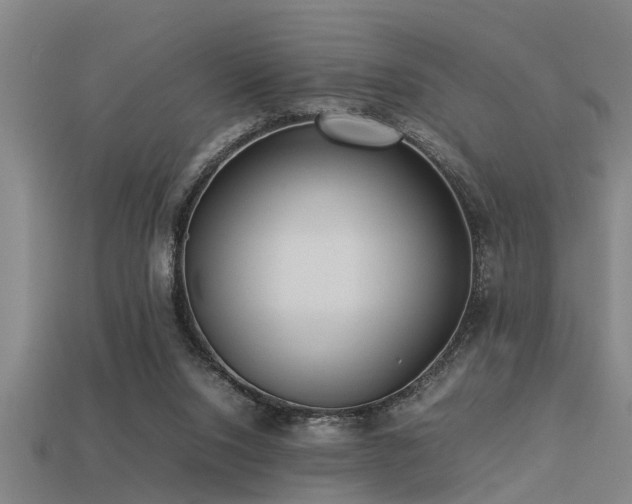 X0000113290064200909141213