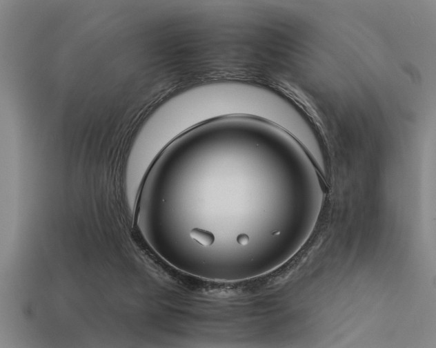 X0000113290065200909141213