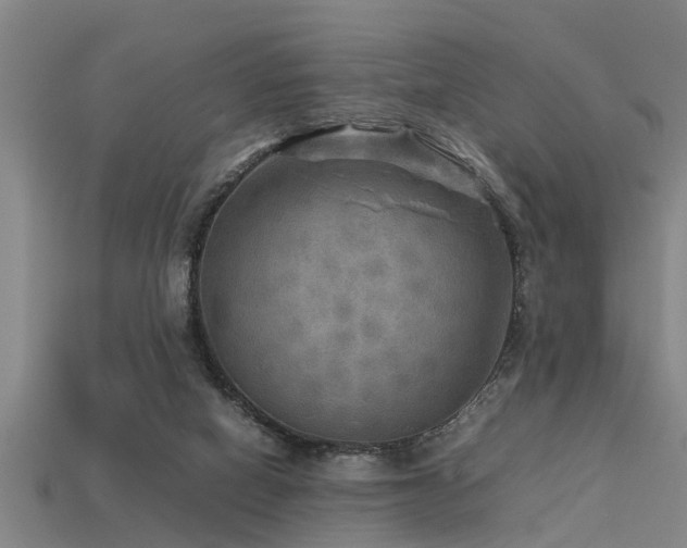 X0000113290066200909141213