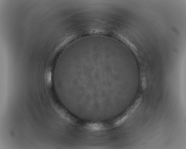 X0000113290067200909141213