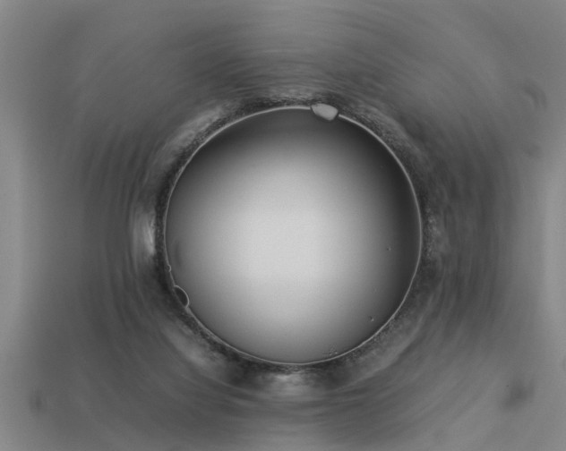 X0000113290068200909141213