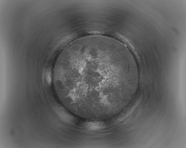 X0000113290069200909141213