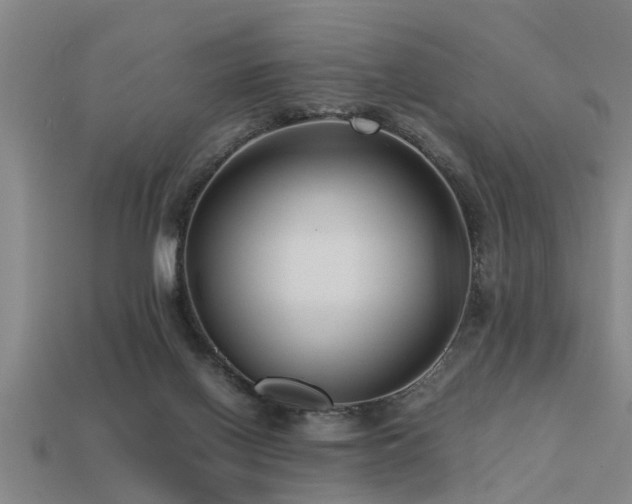 X0000113290070200909141213