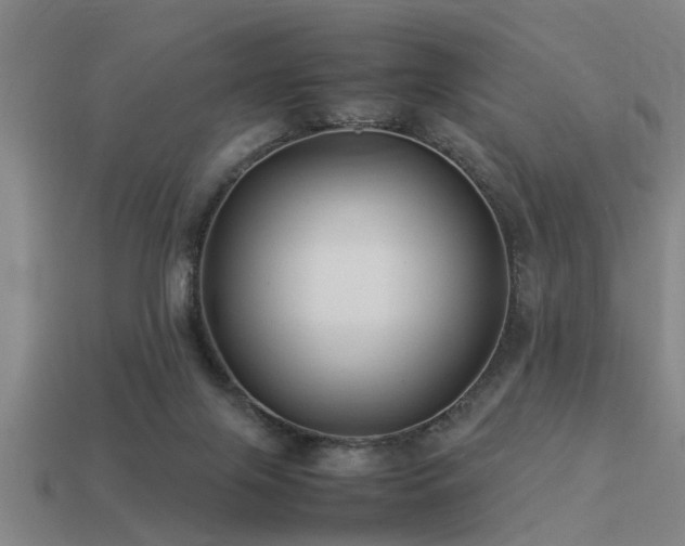 X0000113290071200909141213