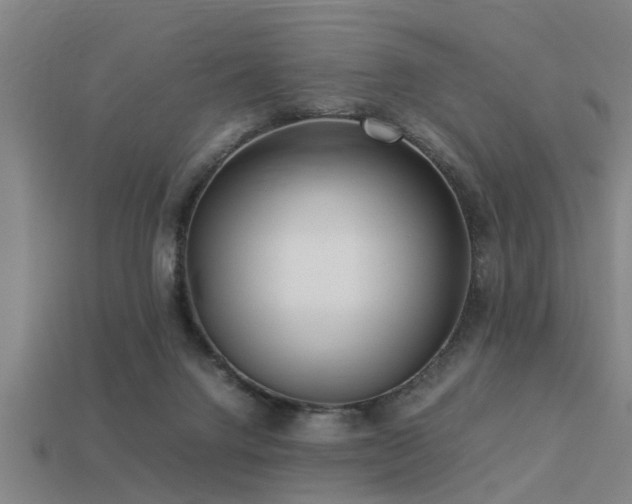 X0000113290072200909141213