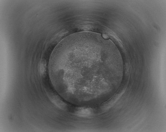 X0000113290073200909141213