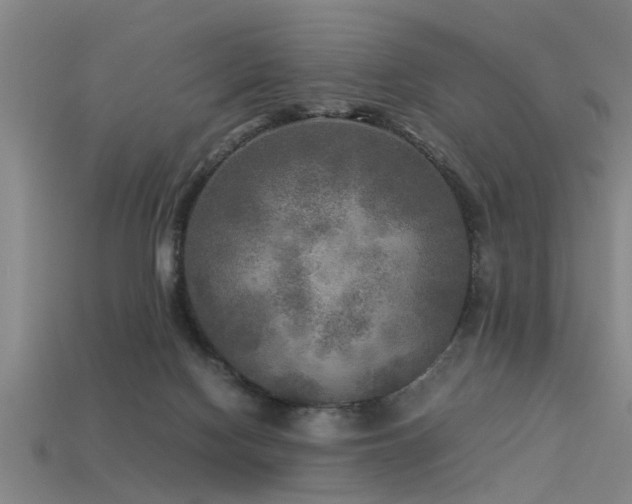 X0000113290074200909141213