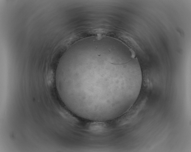 X0000113290077200909141213