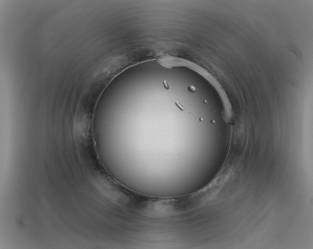 X0000113290078200909141213