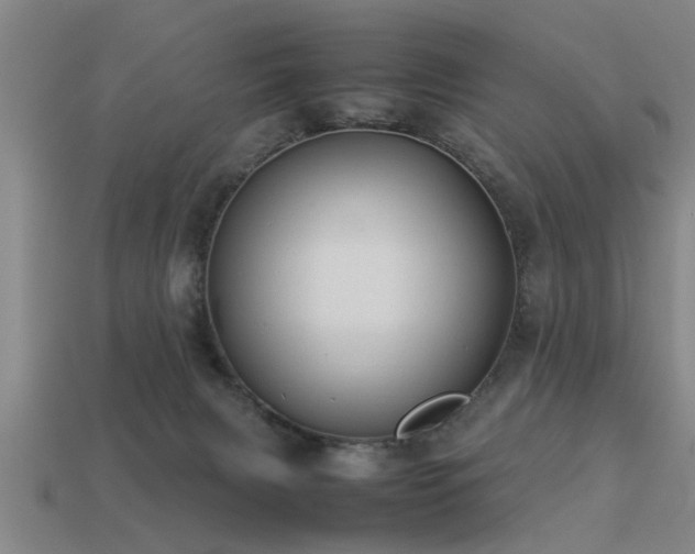 X0000113290079200909141213