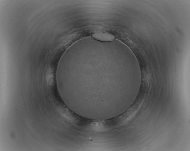 X0000113290080200909141213