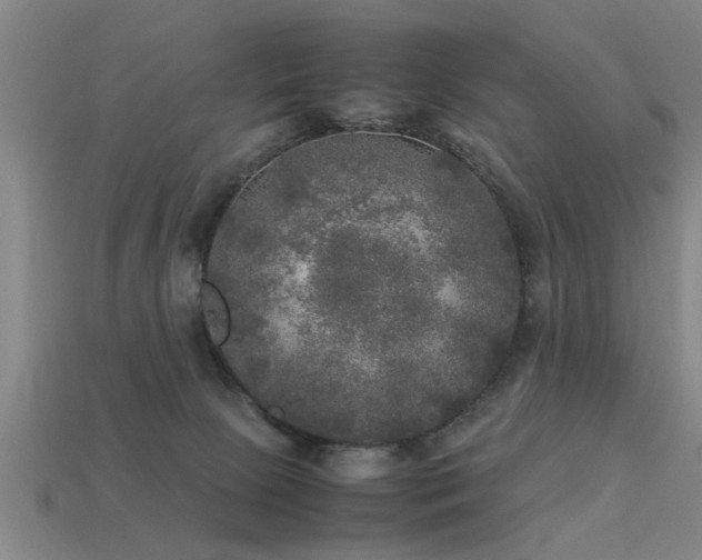 X0000113290081200909141213