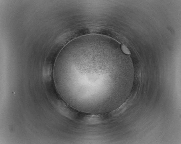 X0000113290082200909141213