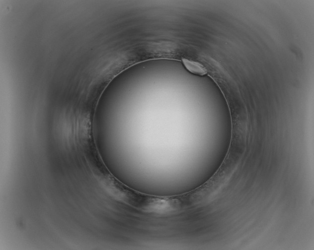 X0000113290083200909141213