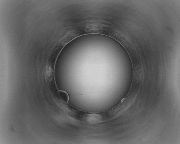 X0000113290087200909141213